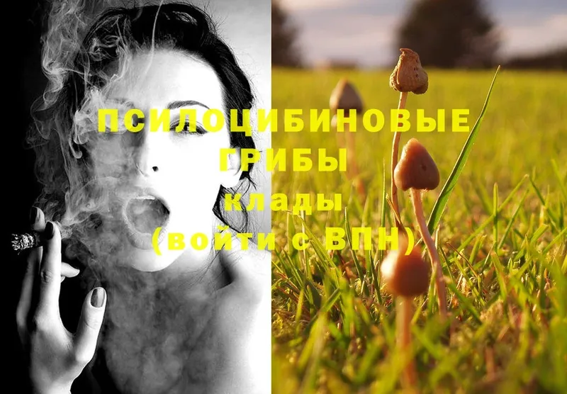 Галлюциногенные грибы MAGIC MUSHROOMS  Калач-на-Дону 